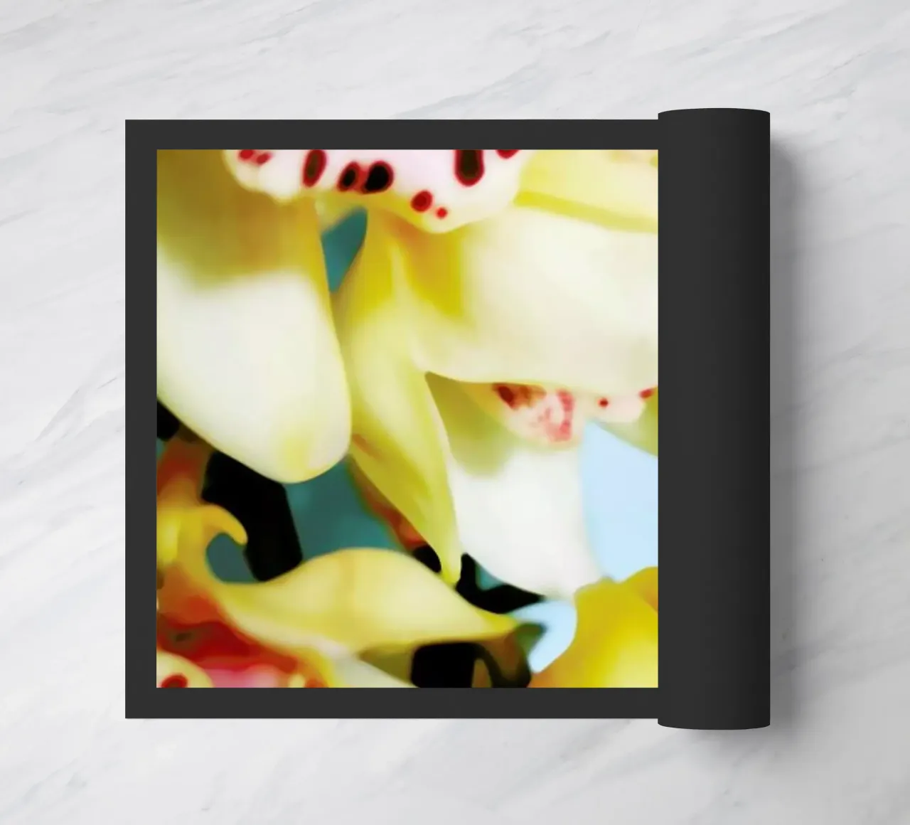 Orchids 9 zerbino da Angelo Cerantola