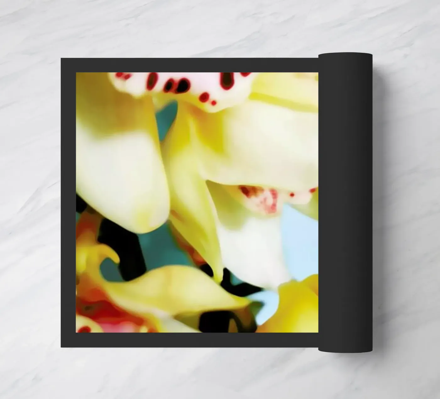 Orchids 9 zerbino da Angelo Cerantola