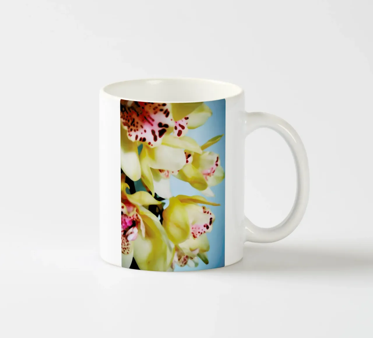 Orchids 9 taza de cerámica de Angelo Cerantola