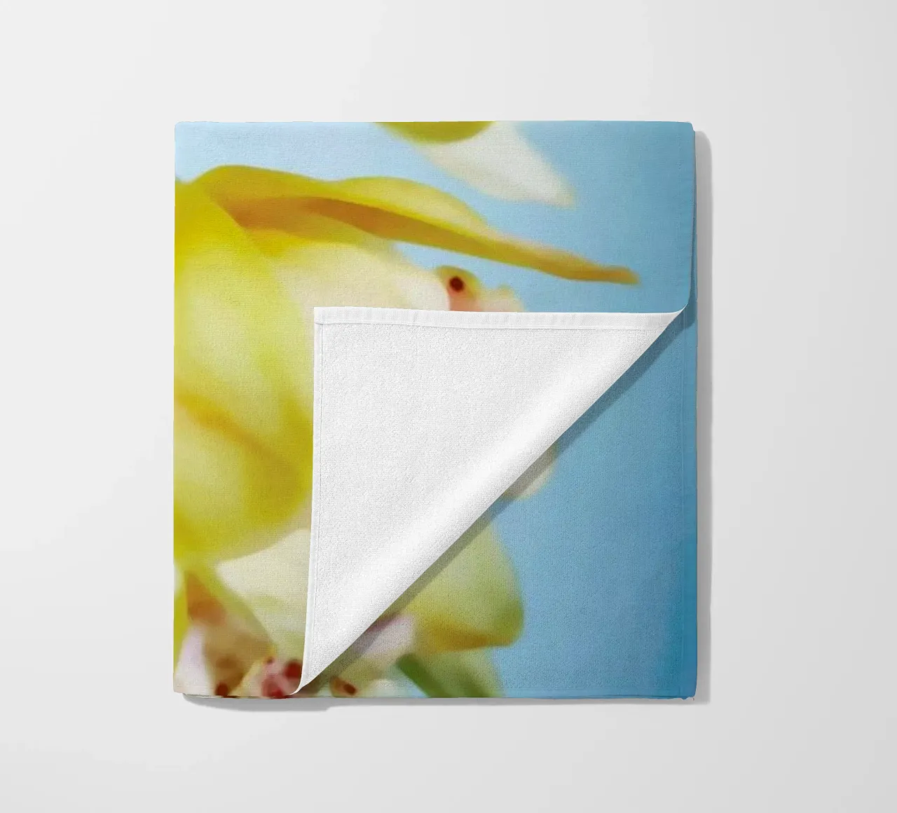 Orchids 9 telo mare da Angelo Cerantola