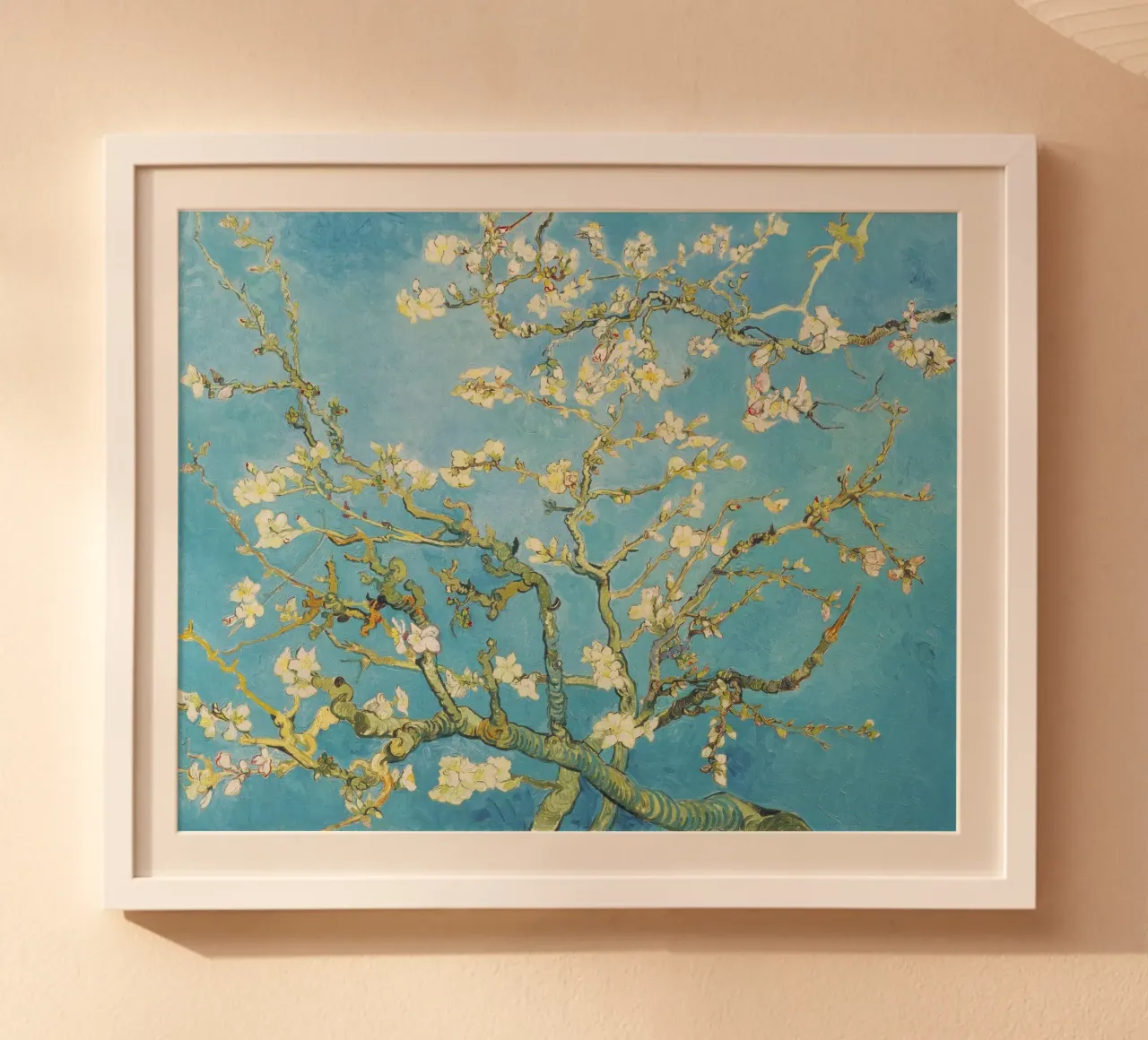 Mandorlo in fiore di Vincent van Gogh poster da Classic Art Prints