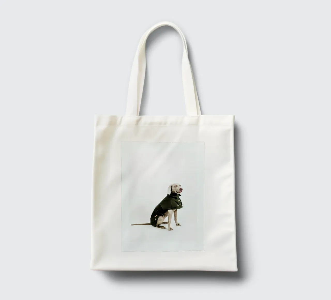 The Tailwaggers 2-2 tote bag by Paul Aidan Perry