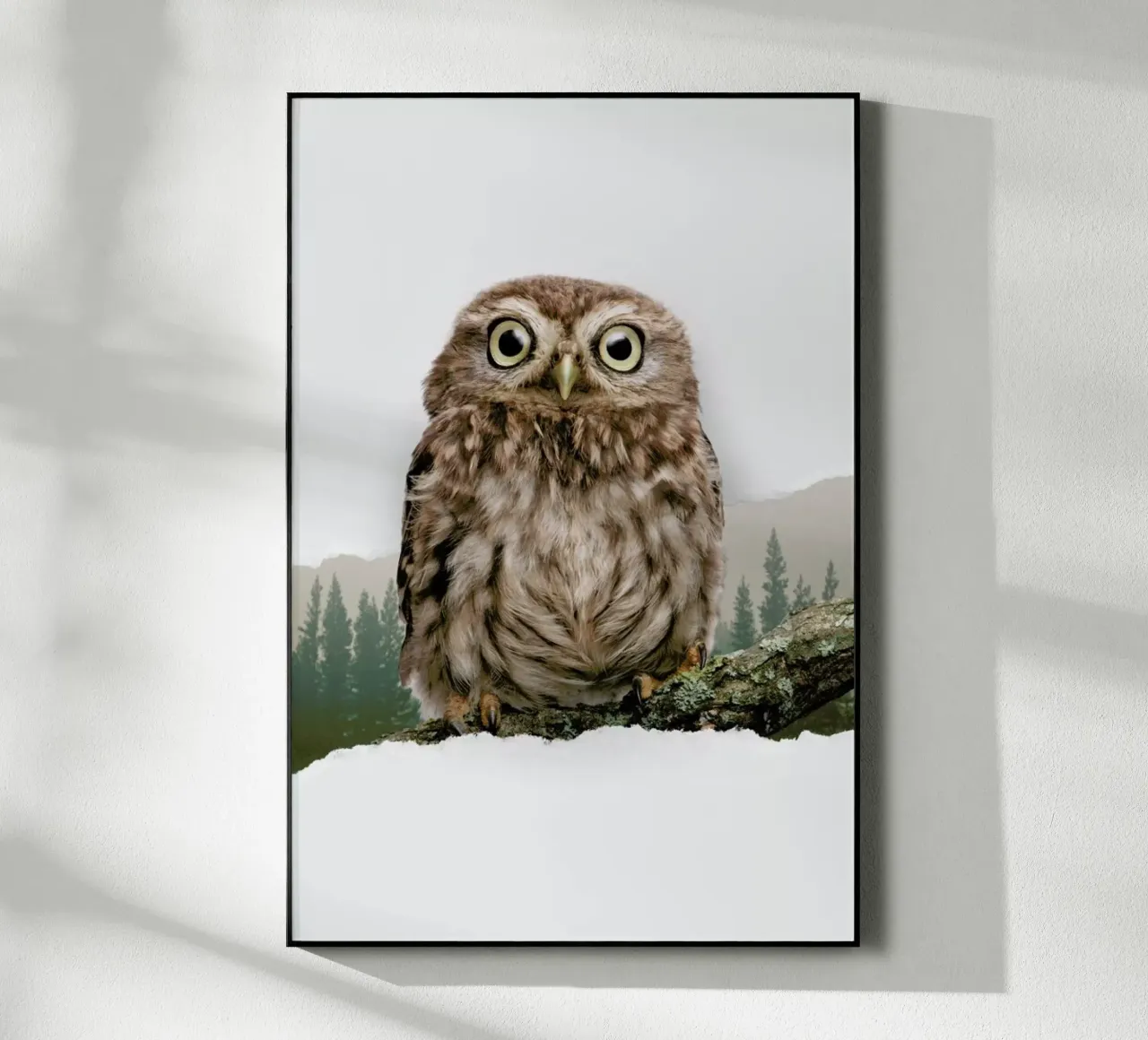 Owl Torn Paper plexiglass da JONAS LOOSE KIDS