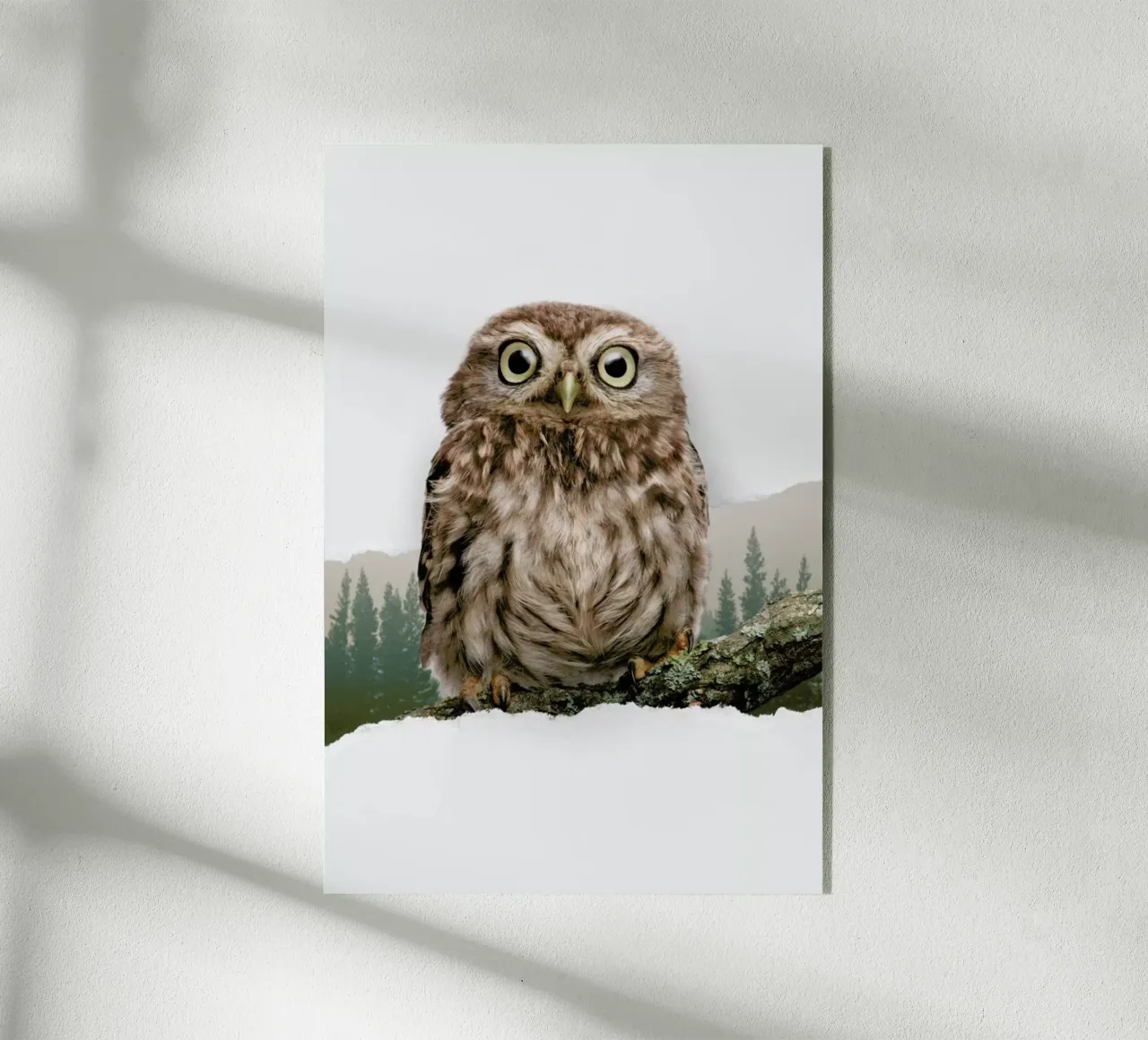 Owl Torn Paper plexiglass da JONAS LOOSE KIDS