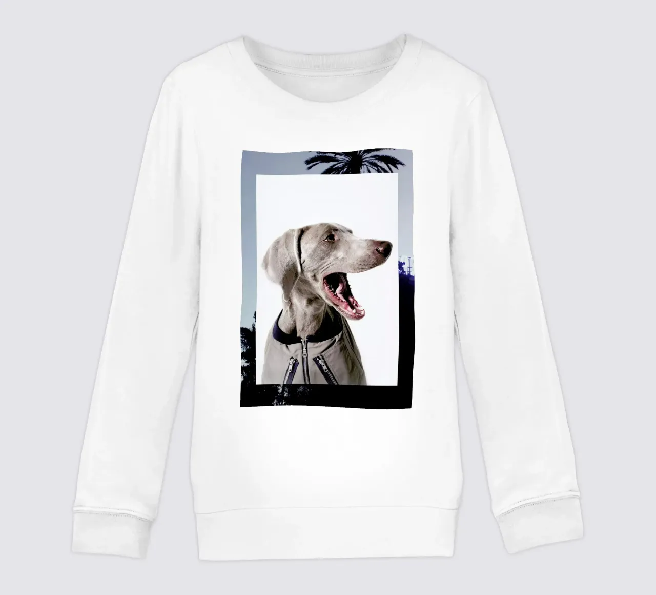 The Tailwaggers 6-3 kids sweatshirt by Paul Aidan Perry
