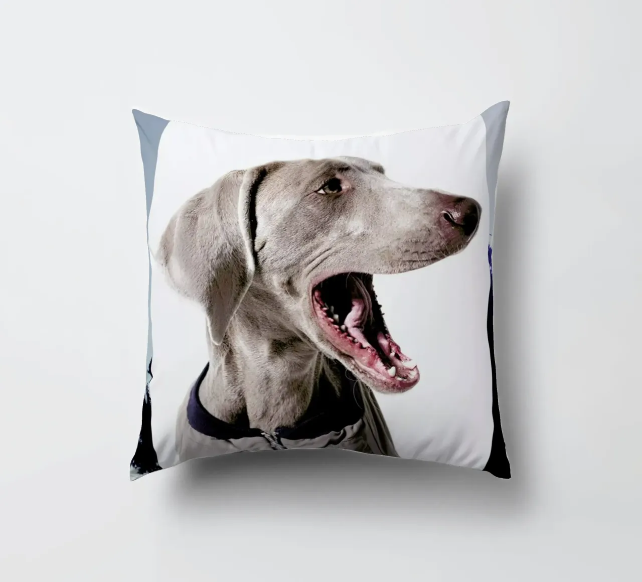 The Tailwaggers 6-3 decorative cushion by Paul Aidan Perry
