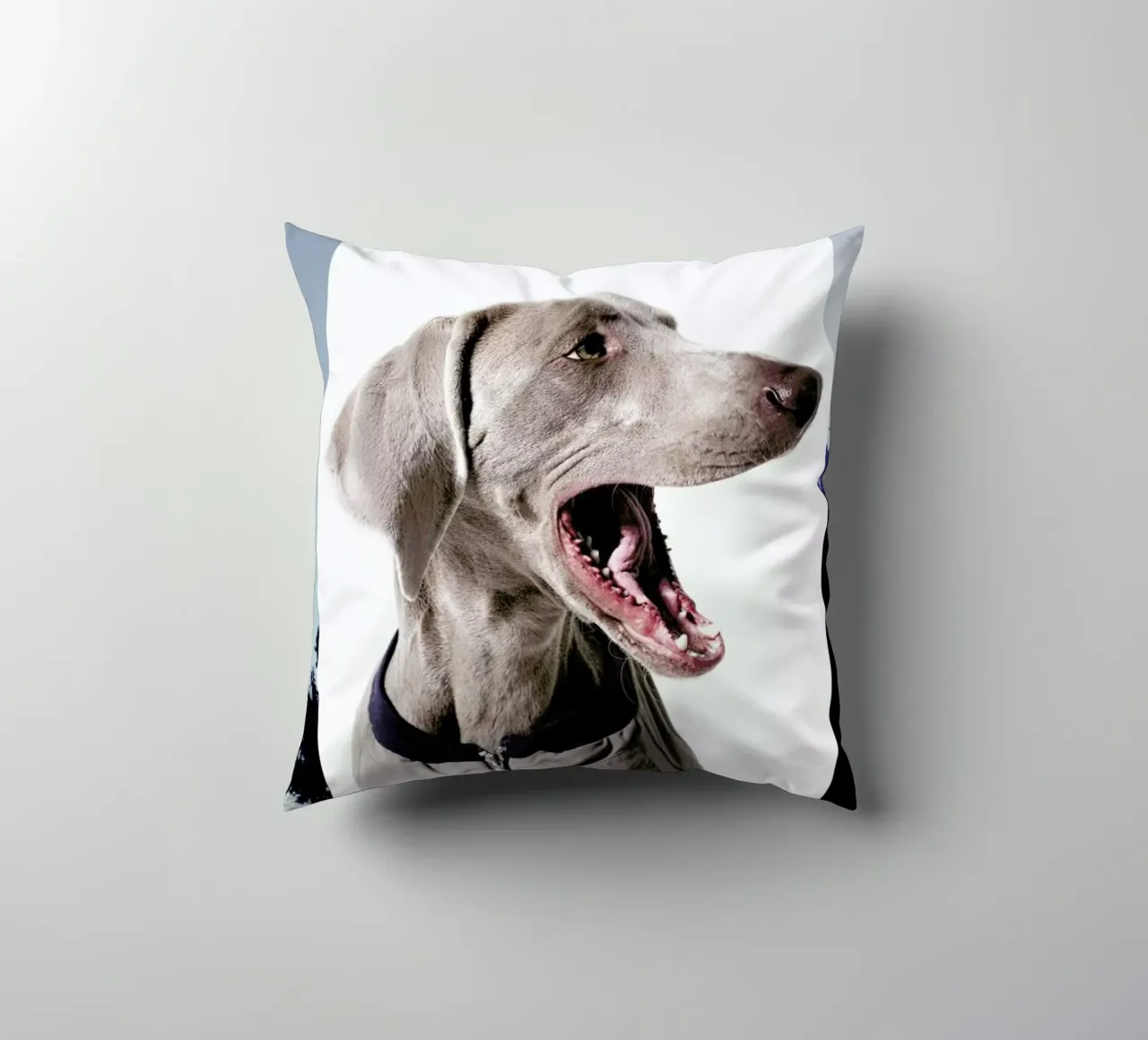 The Tailwaggers 6-3 decorative cushion by Paul Aidan Perry