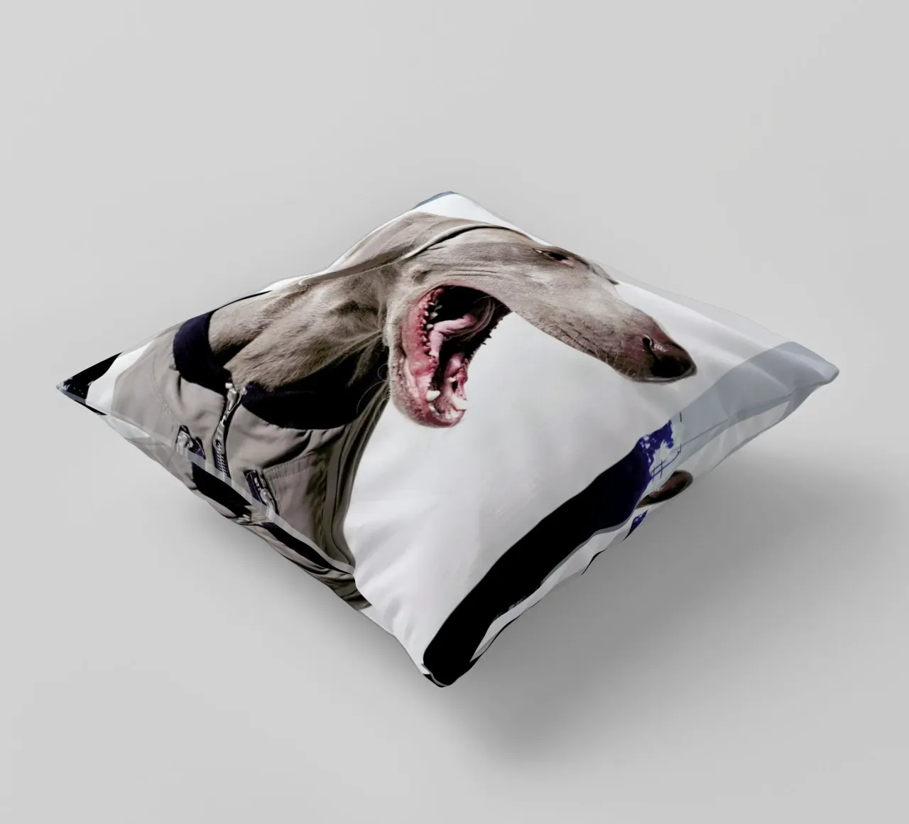 The Tailwaggers 6-3 decorative cushion by Paul Aidan Perry