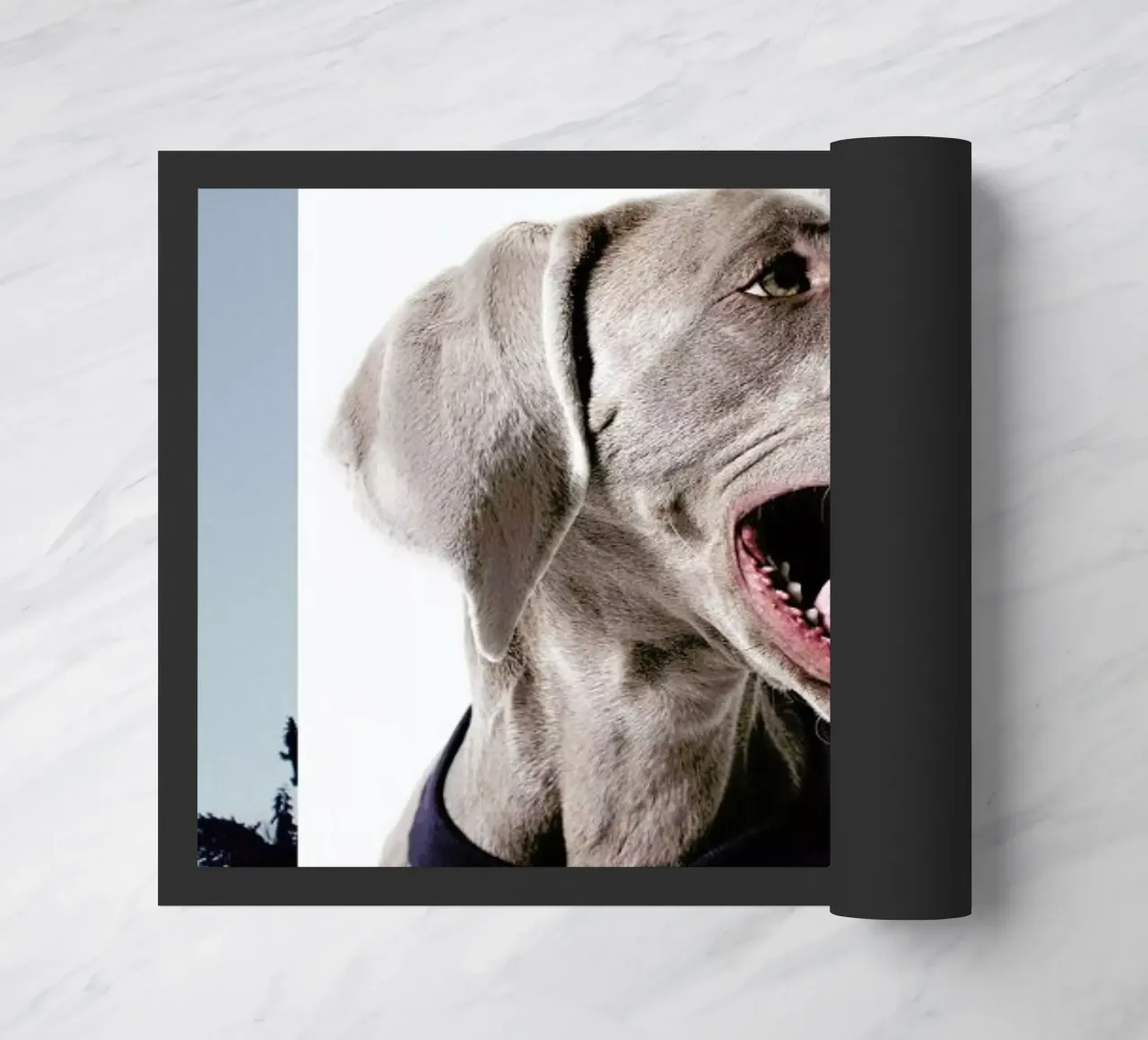 The Tailwaggers 6-3 doormat by Paul Aidan Perry