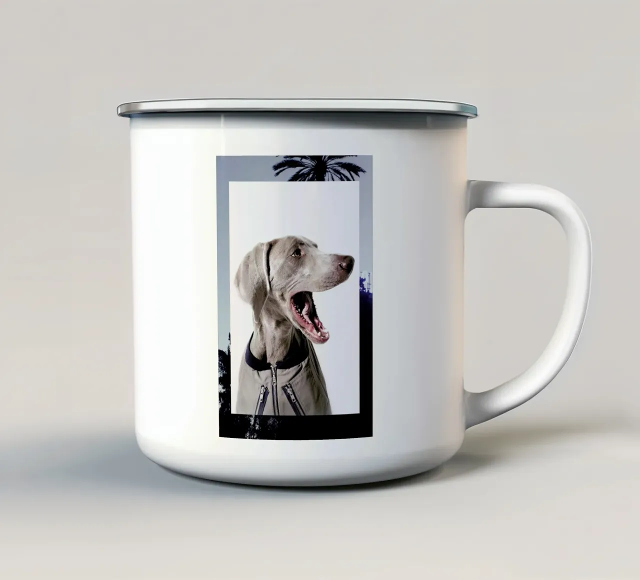 The Tailwaggers 6-3 tazza in smalto da Paul Aidan Perry