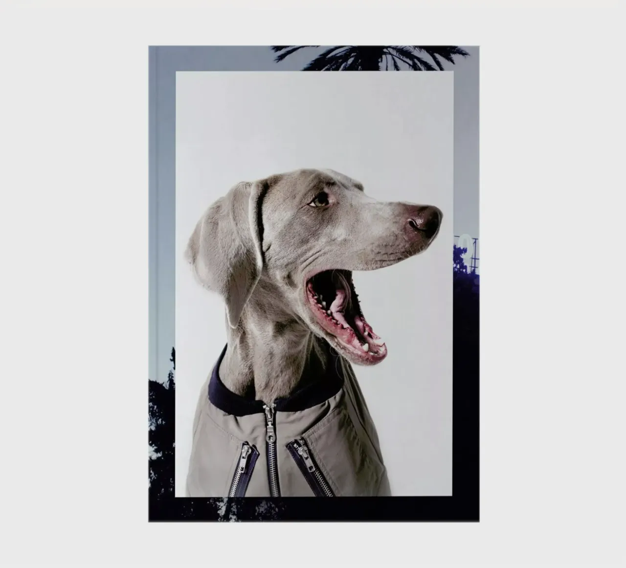 The Tailwaggers 6-3 notebook by Paul Aidan Perry