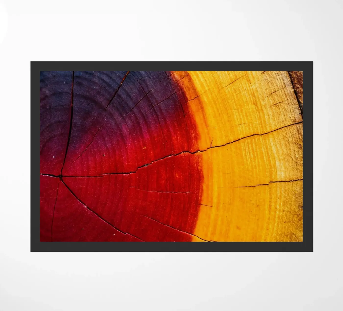 Tree Ring Ornament doormat by zetazone