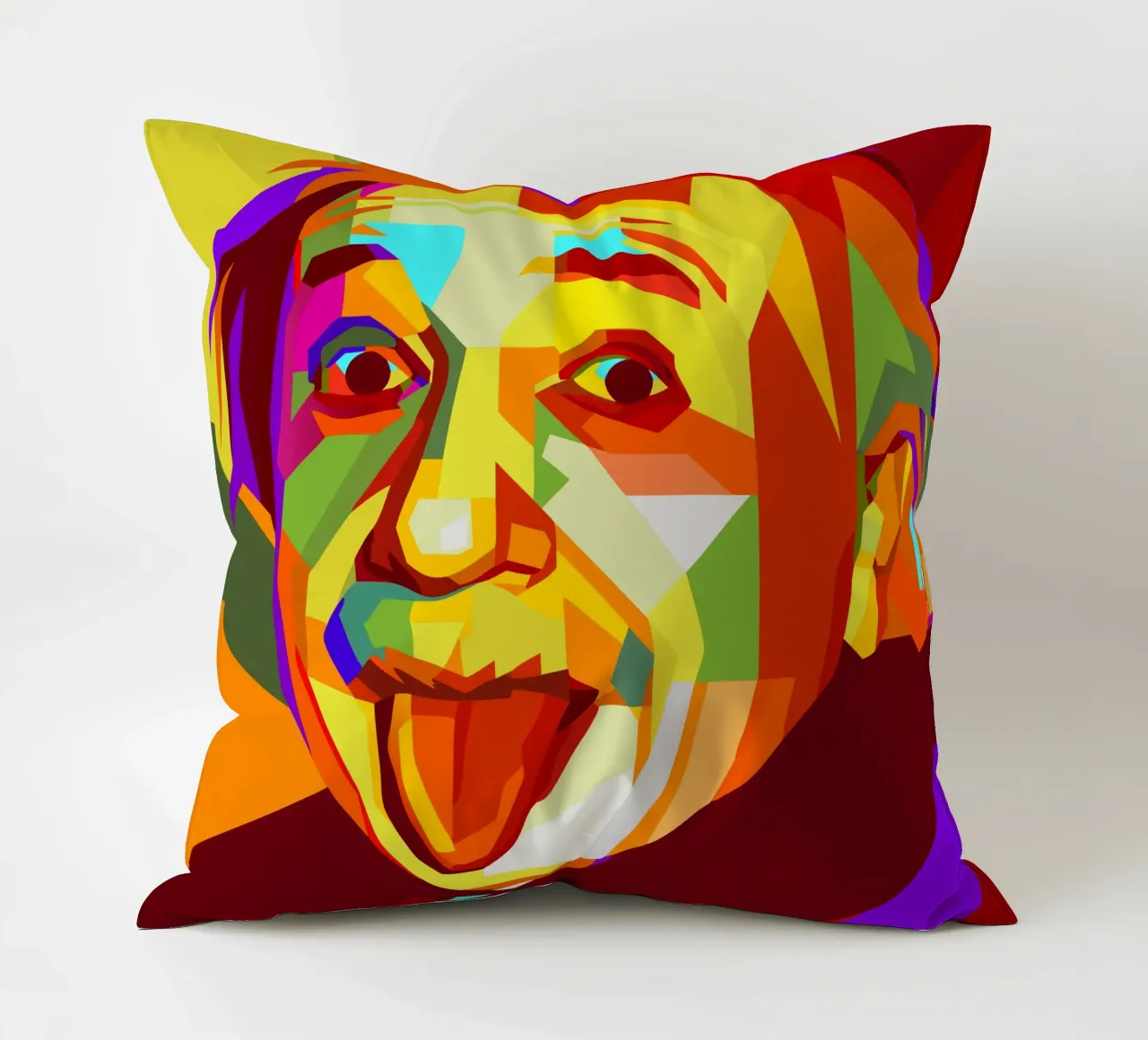 einstein retro pop kunst wpap Kissen von aiswa