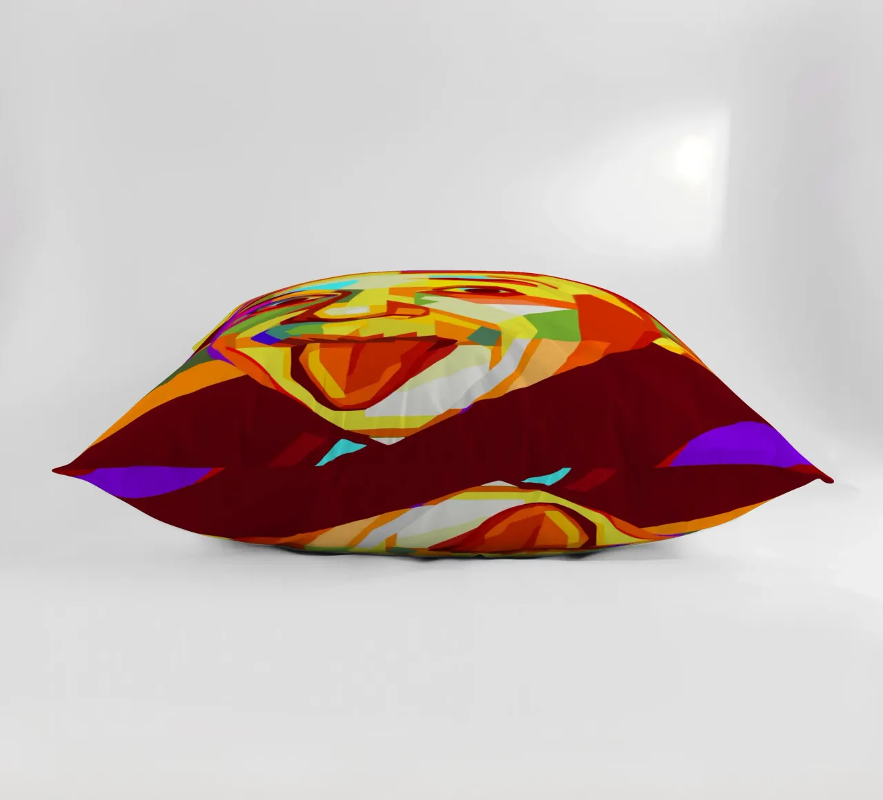 einstein retro pop art wpap cuscino da aiswa