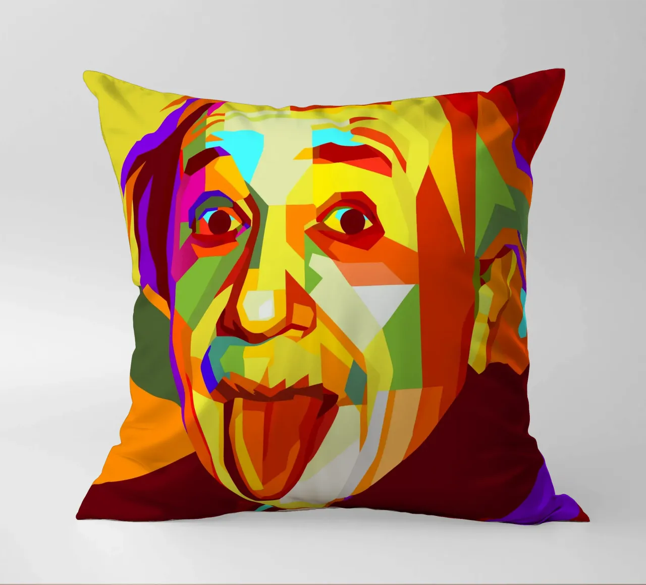 einstein retro pop art wpap cuscino da aiswa