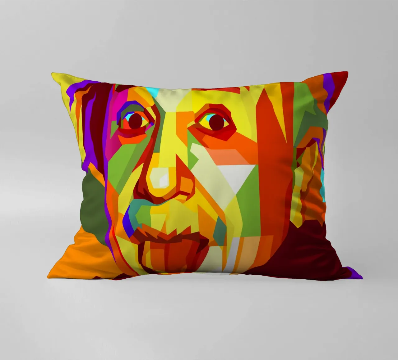 einstein retro pop art wpap cuscino da aiswa