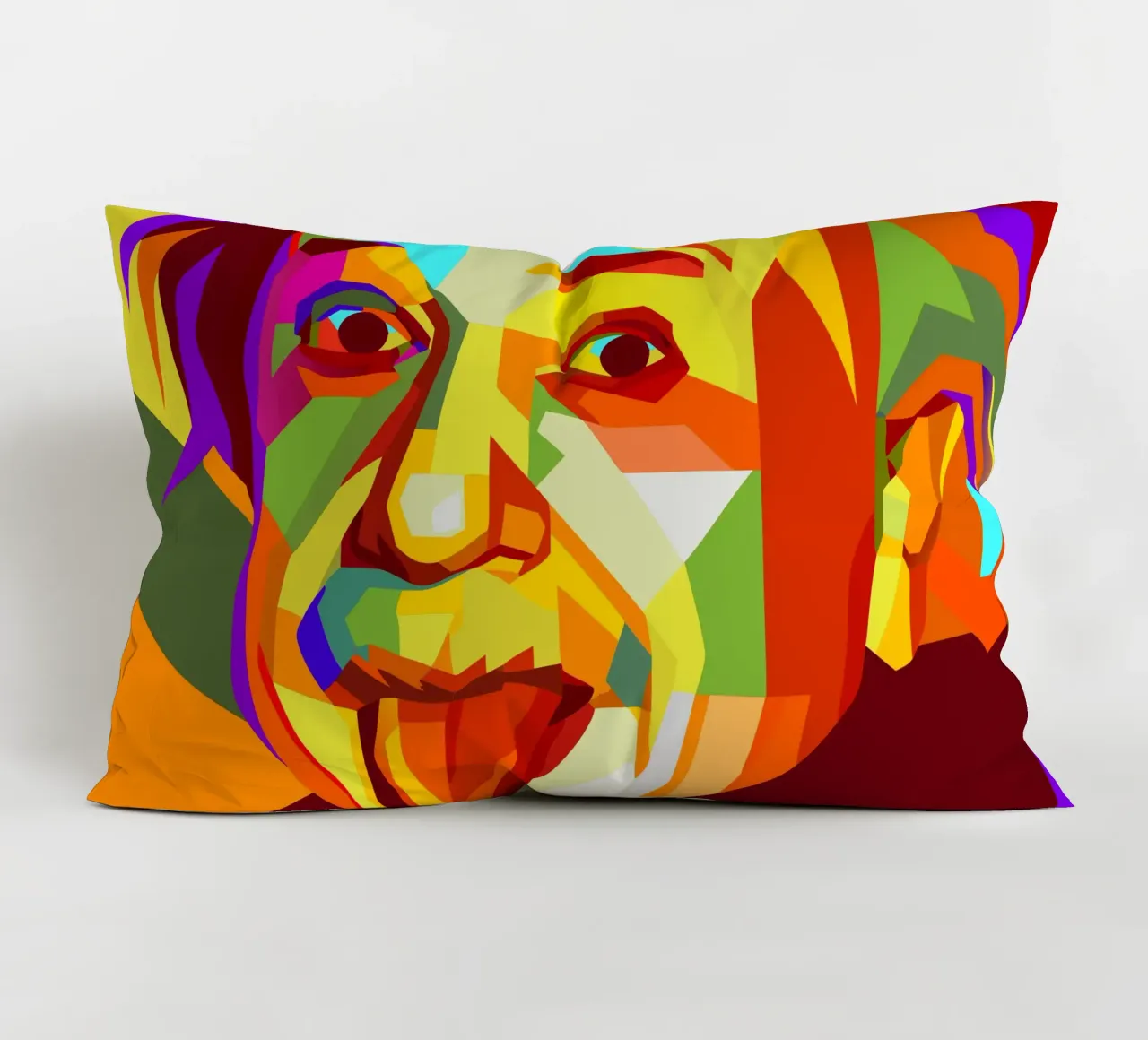 einstein retro pop art wpap cuscino da aiswa
