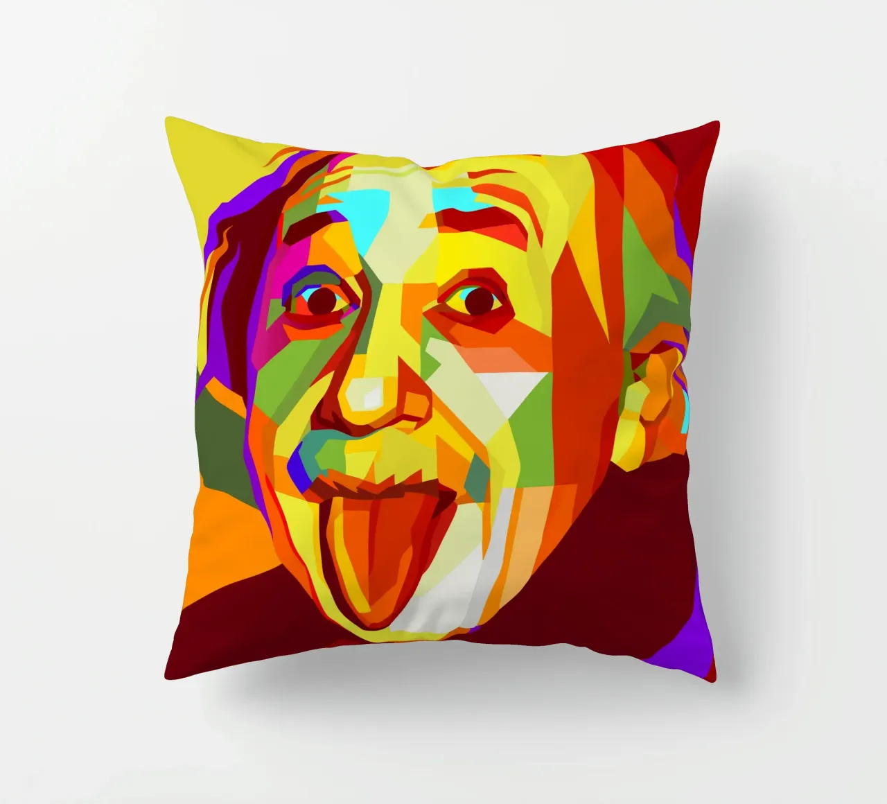 einstein retro pop art wpap cuscino da aiswa