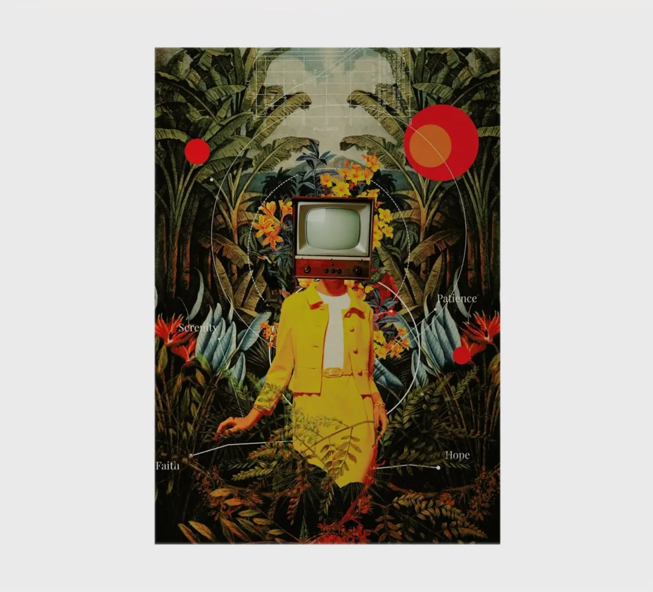 She Came From The Wilderness notebook by Frank Moth
