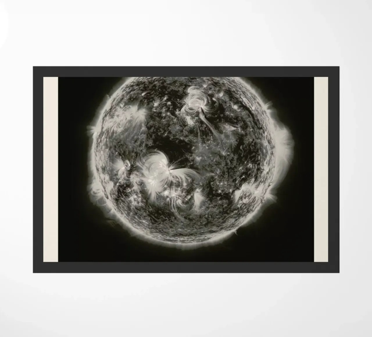 Sun cream Back zerbino da Florent Bodart