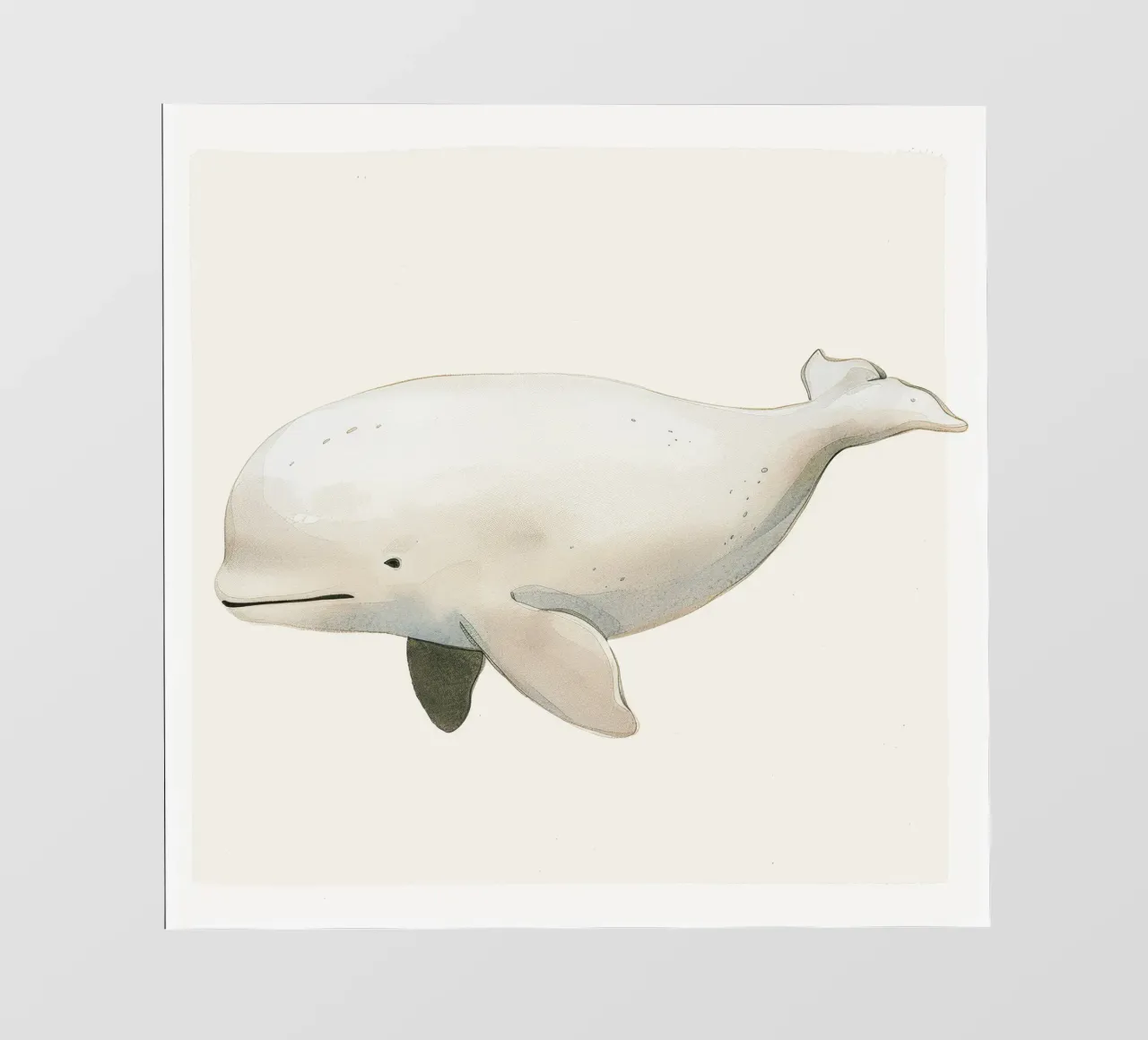 Illustrazione ad acquerello di una balena beluga pellicola backlit da DesignDoodle