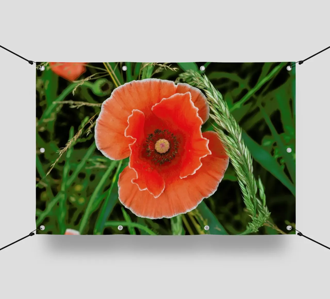 Red/White Poppie telo in pvc da Curious Collections by Marielle Leenders