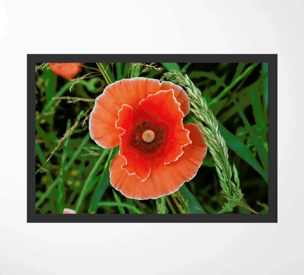 Red/White Poppie zerbino da Curious Collections by Marielle Leenders