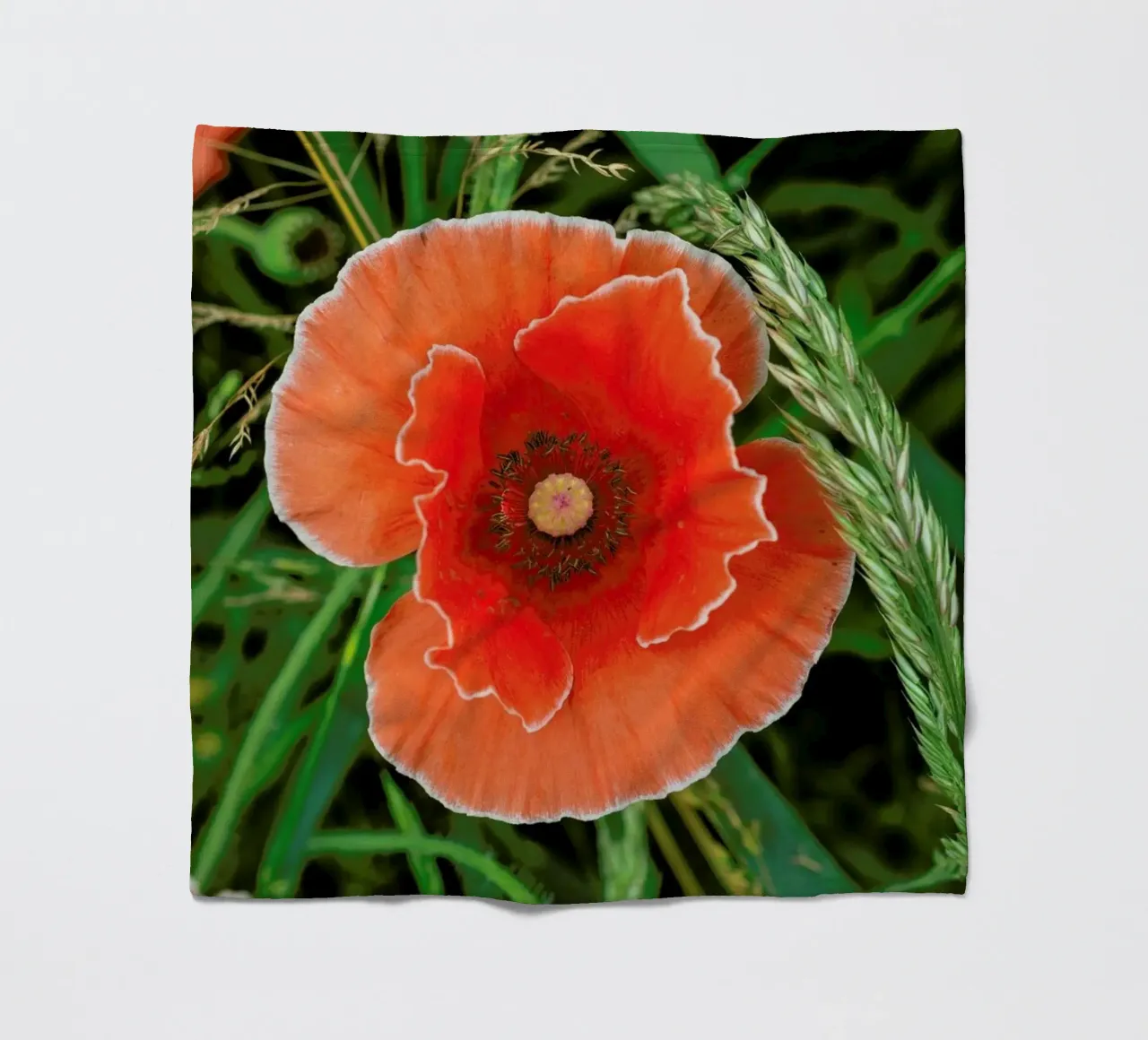 Red/White Poppie coperta in pile da Curious Collections by Marielle Leenders