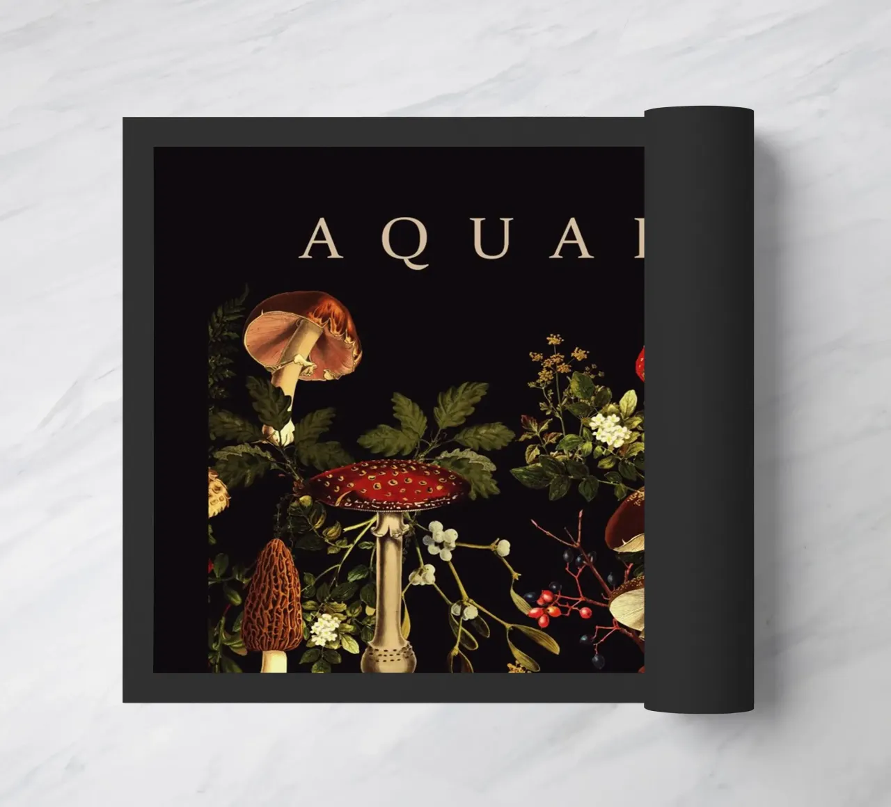 AQUARIUS zerbino da burcukorkmazyurek