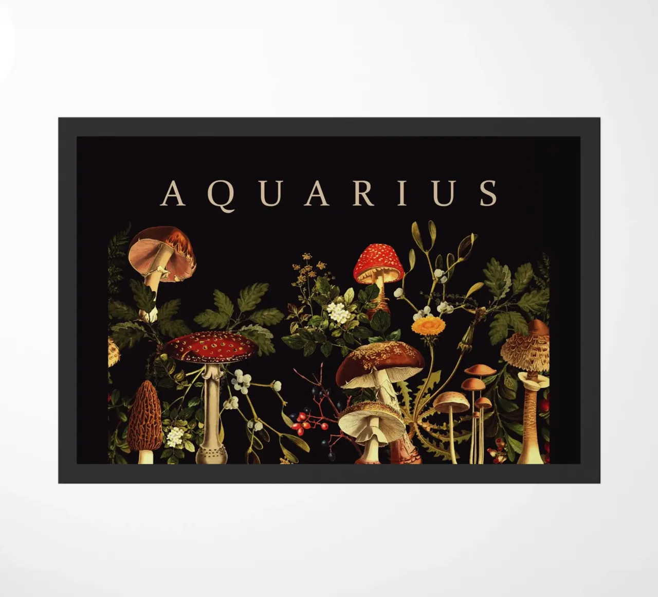 AQUARIUS zerbino da burcukorkmazyurek