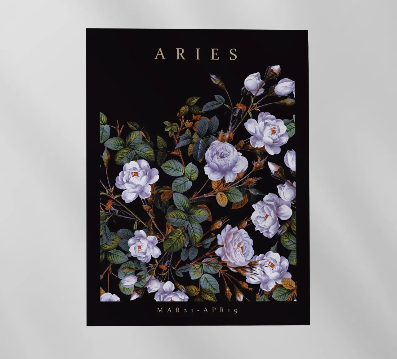 ARIES pellicola backlit da burcukorkmazyurek