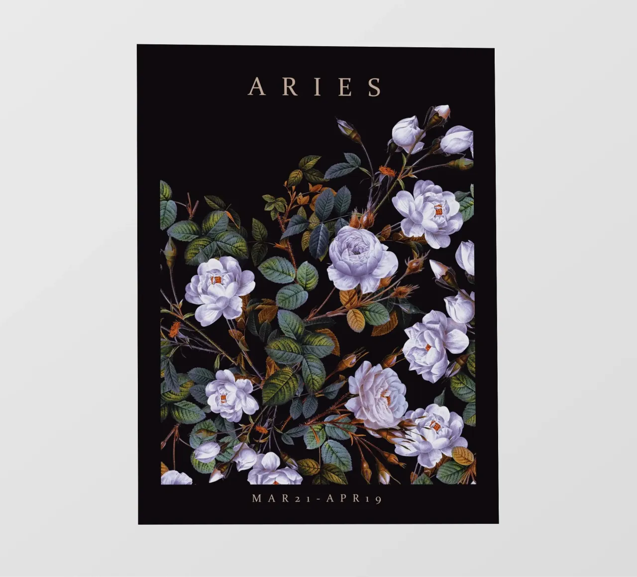 ARIES pellicola backlit da burcukorkmazyurek