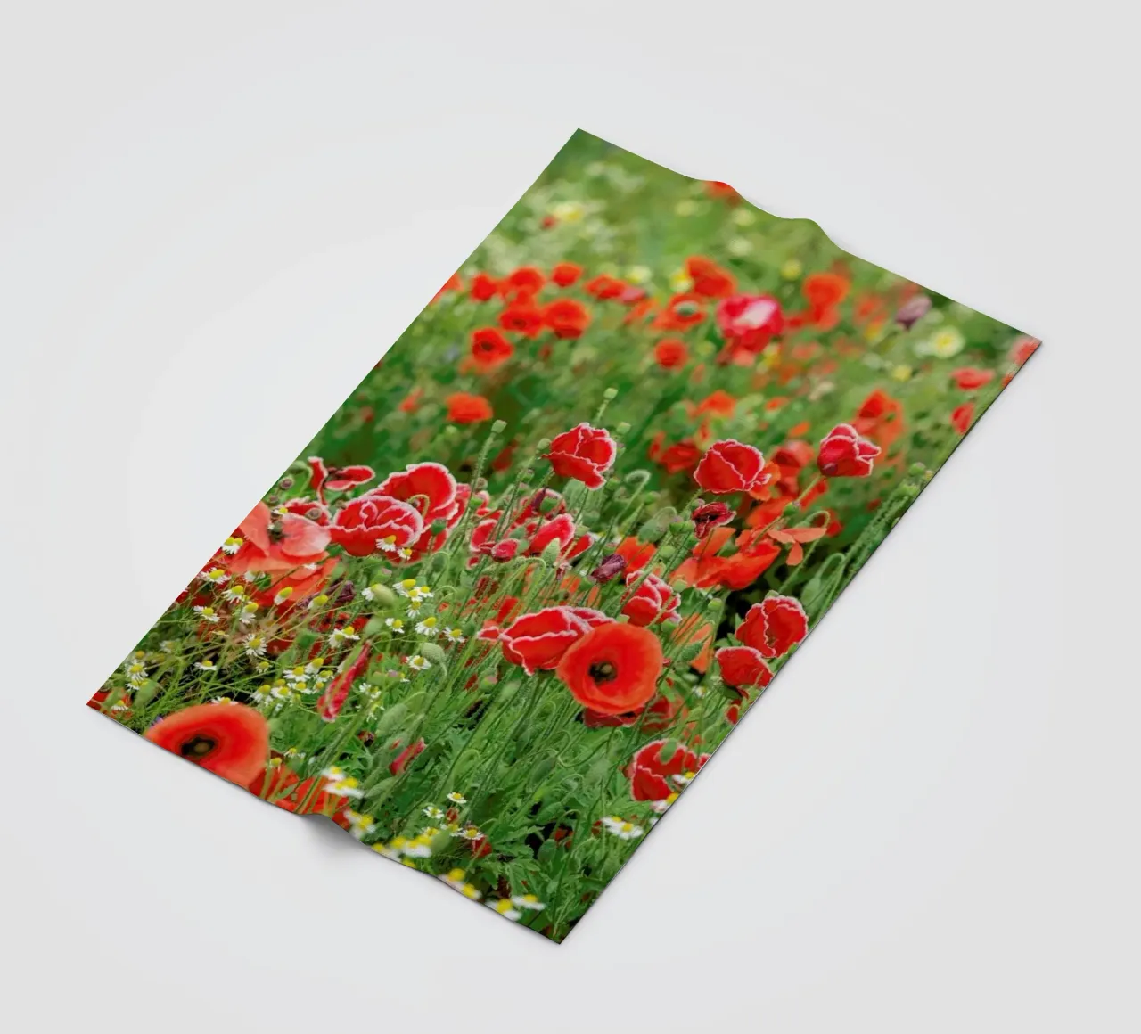Mixed Red Poppyfield coperta in pile da Curious Collections by Marielle Leenders