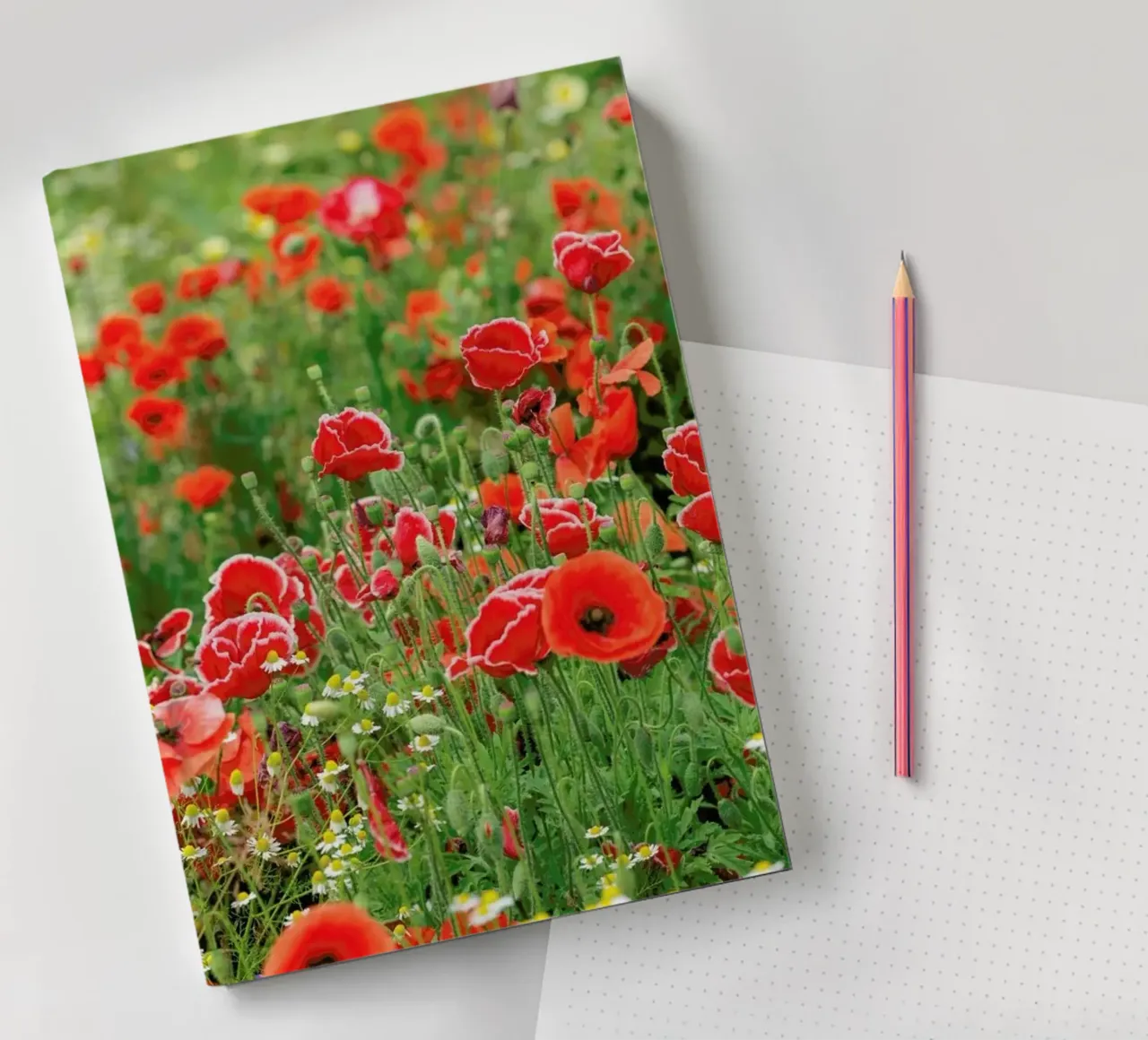 Mixed Red Poppyfield notebook by Curious Collections by Marielle Leenders