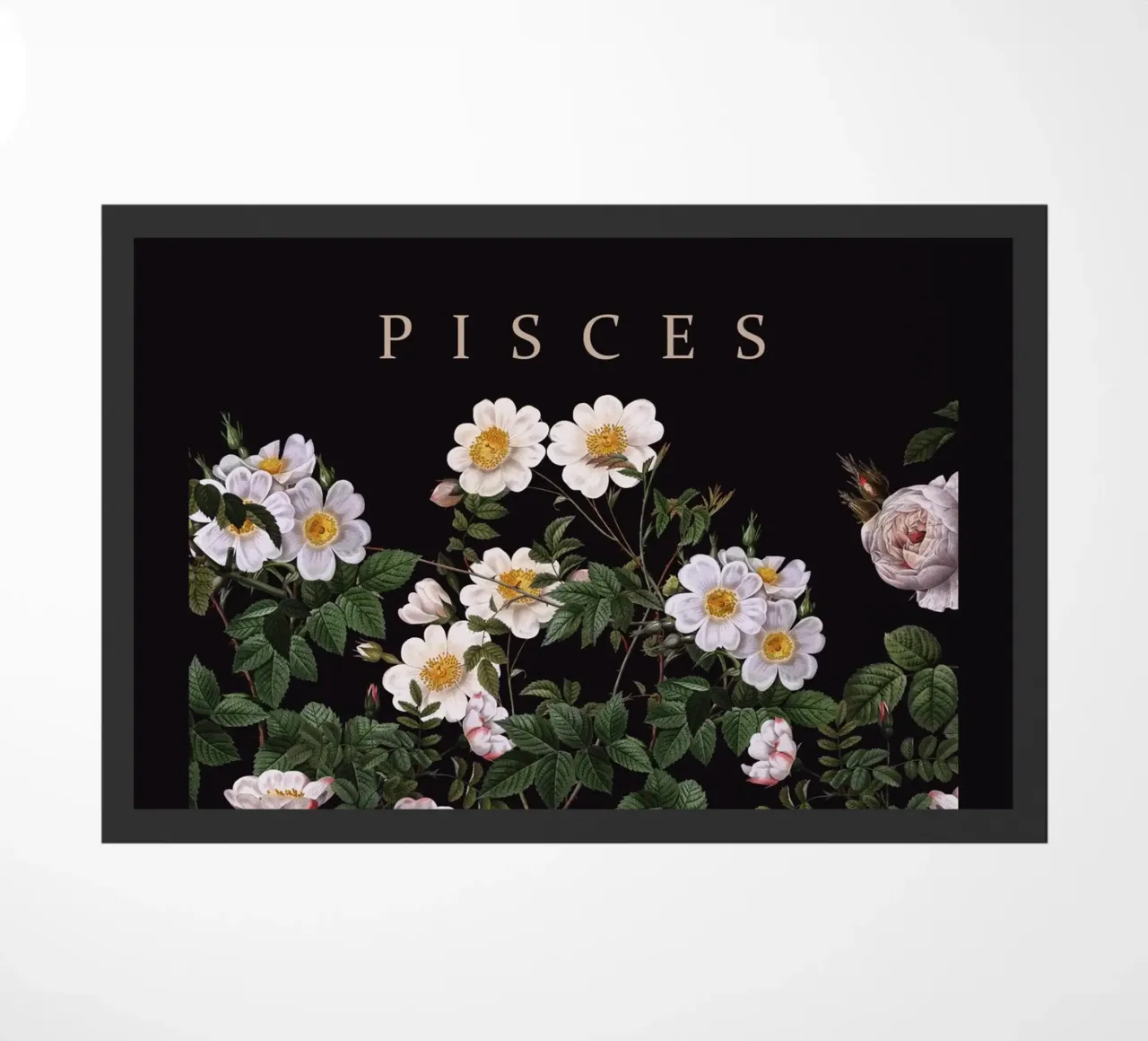 PISCES zerbino da burcukorkmazyurek