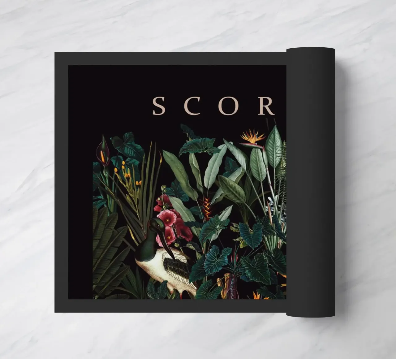 SCORPIO zerbino da burcukorkmazyurek