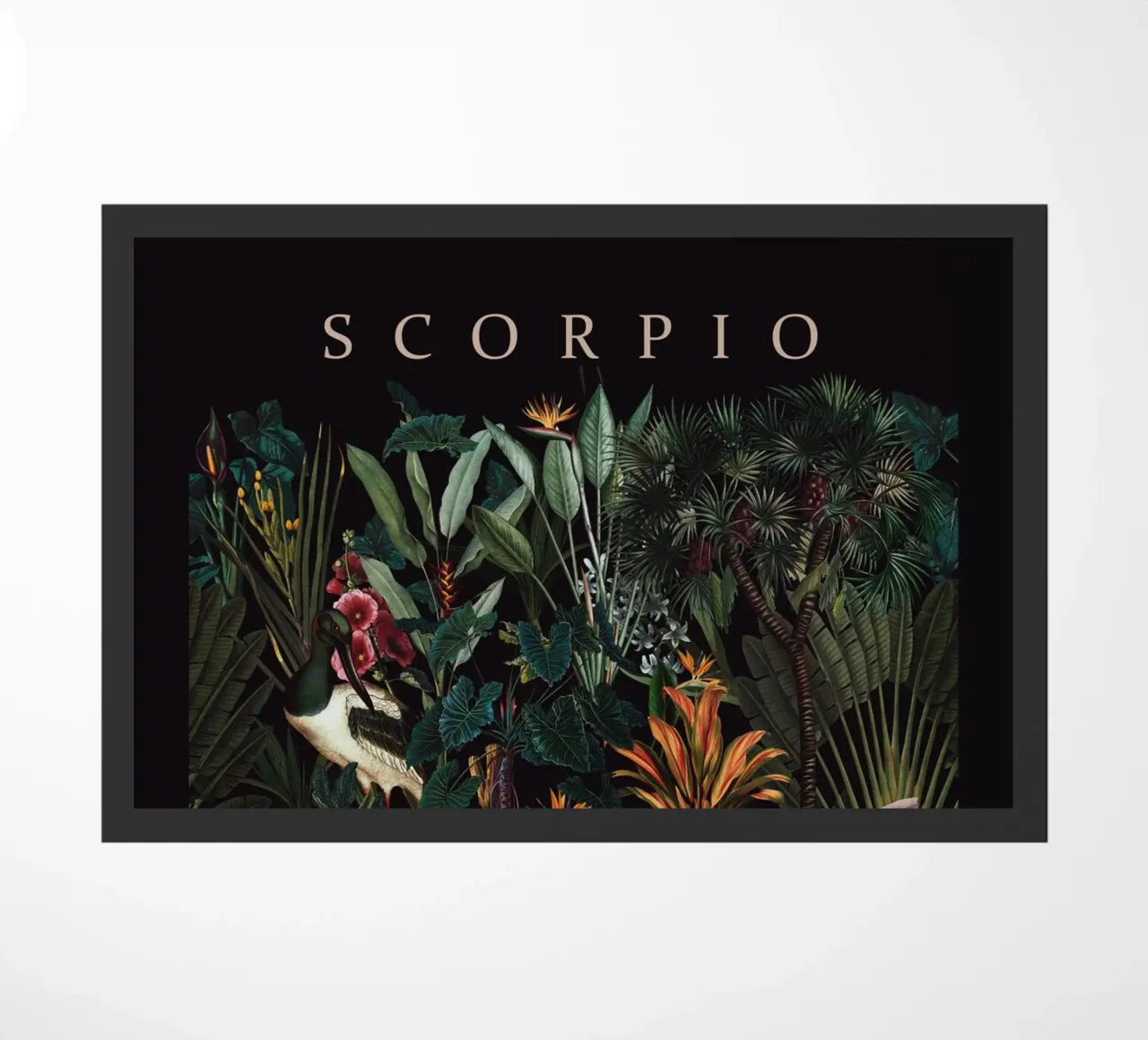 SCORPIO zerbino da burcukorkmazyurek