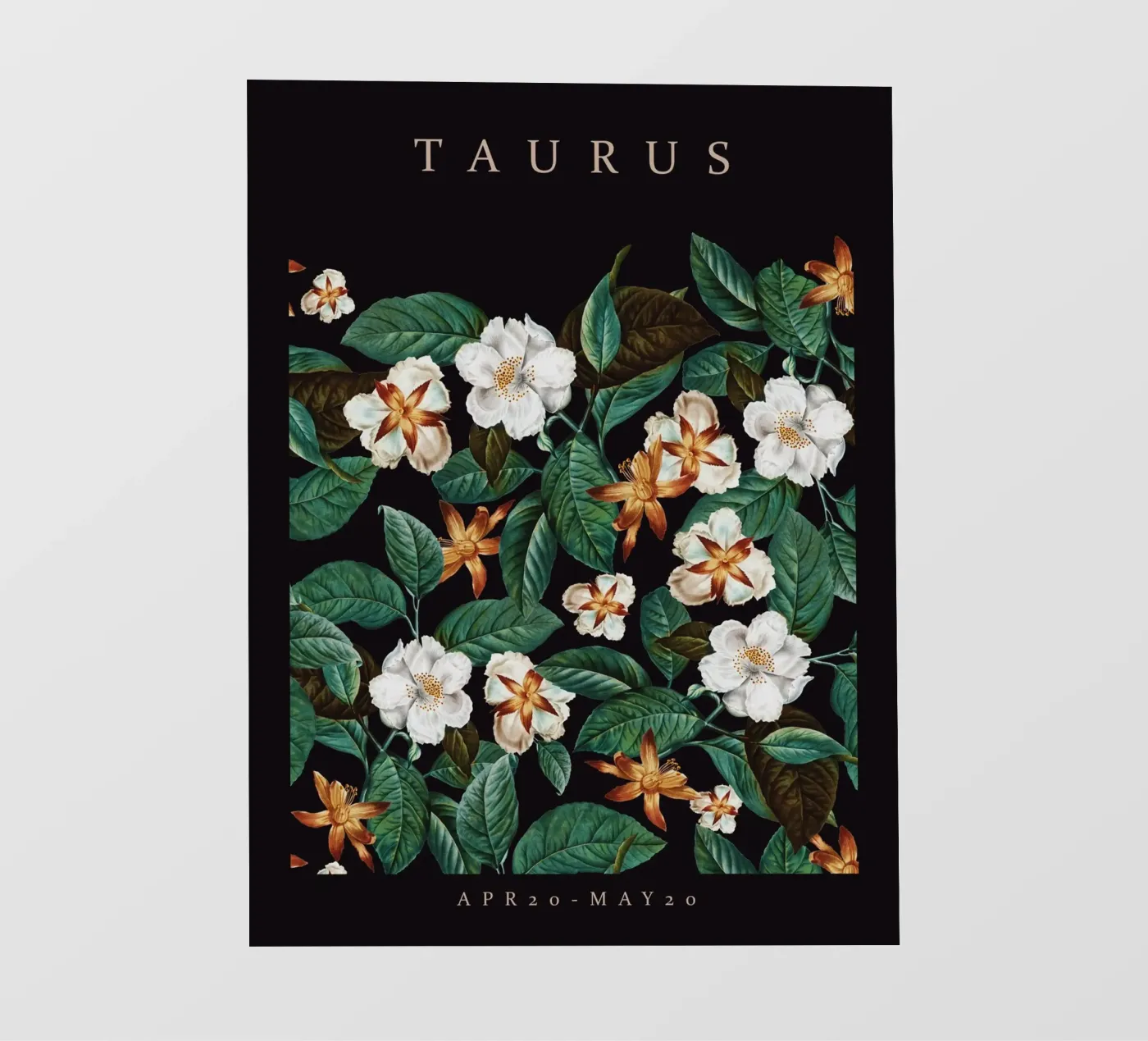 TAURUS backlit folie van burcukorkmazyurek