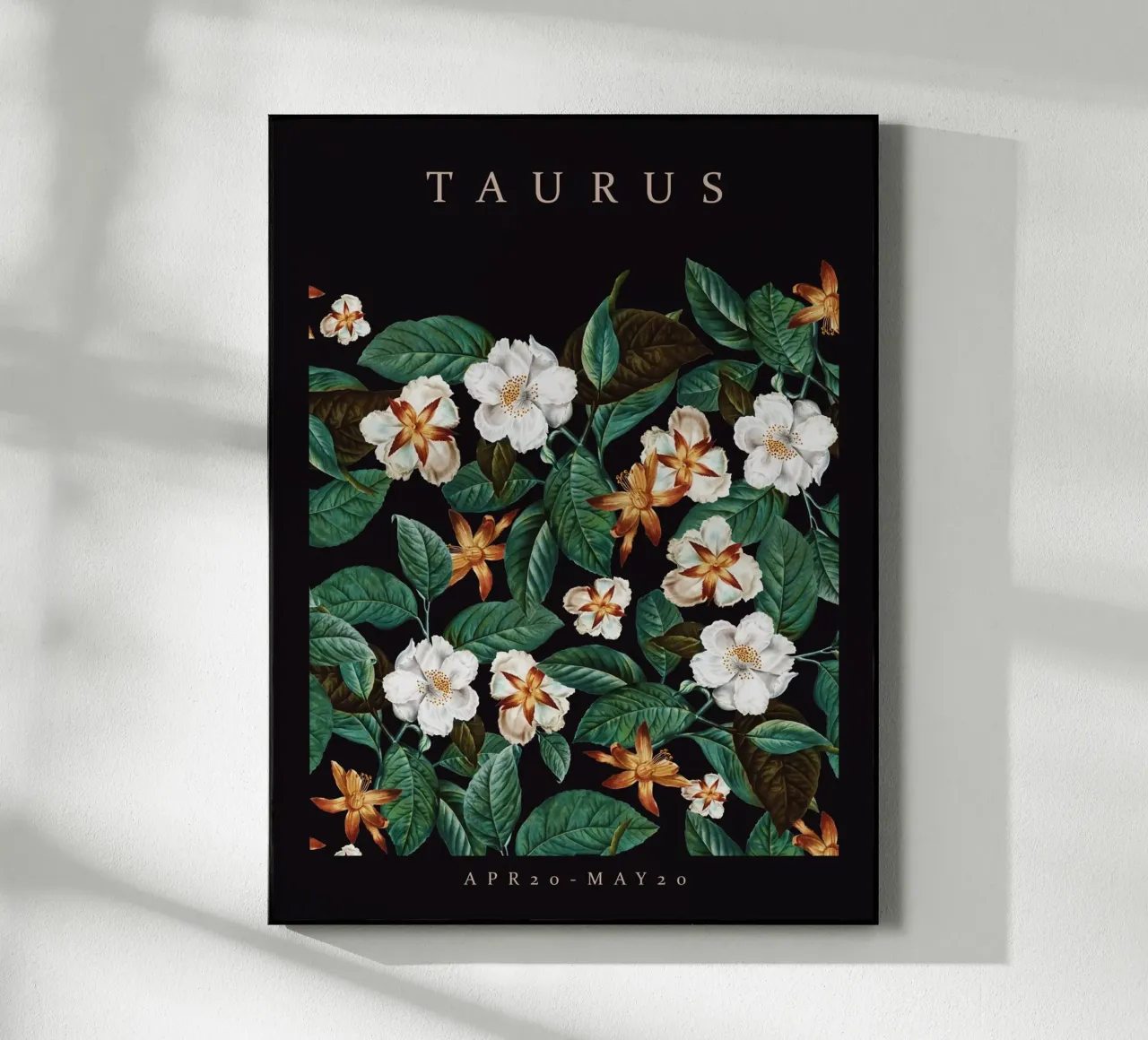 TAURUS plexiglass da burcukorkmazyurek