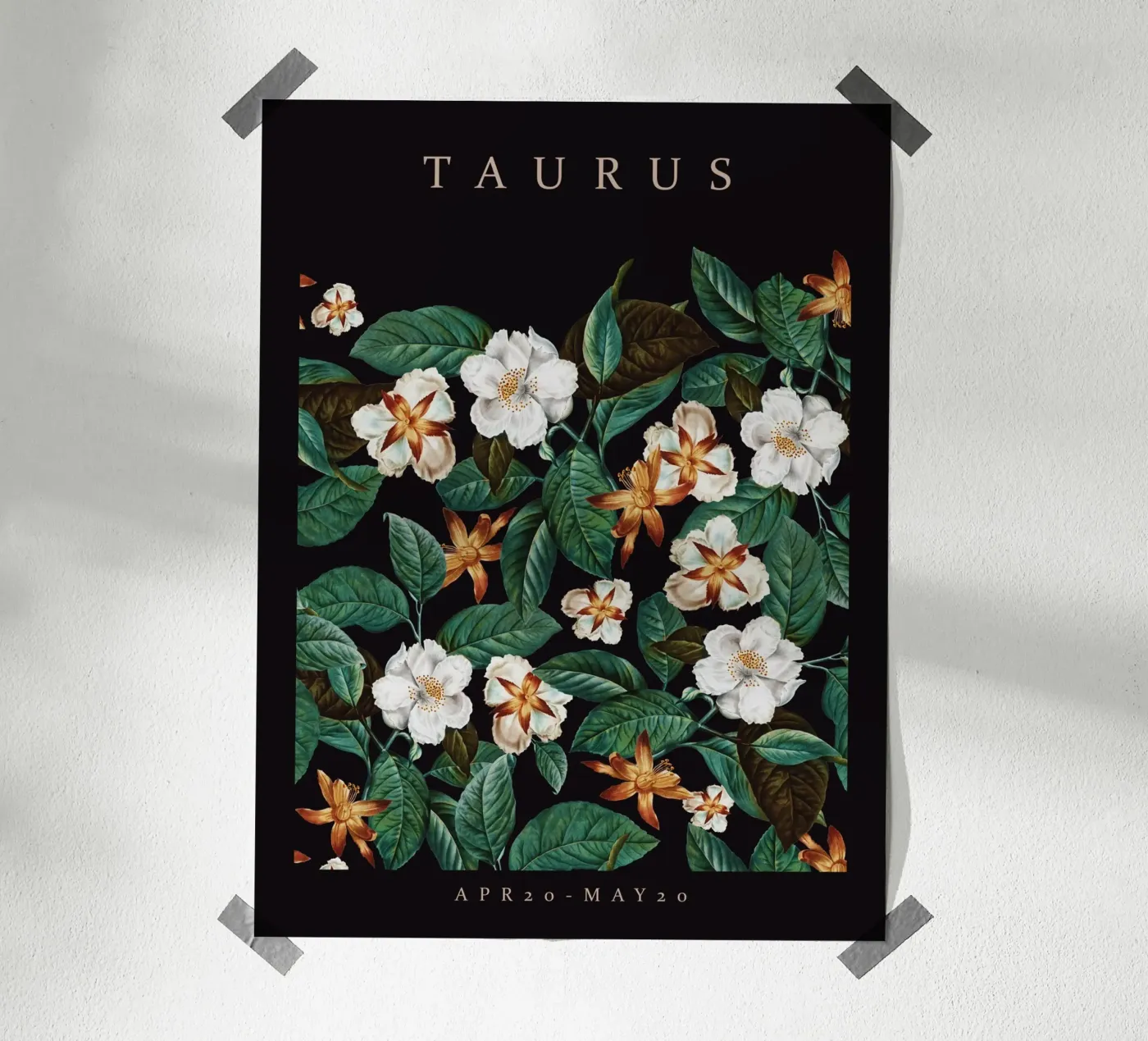 TAURUS poster da burcukorkmazyurek