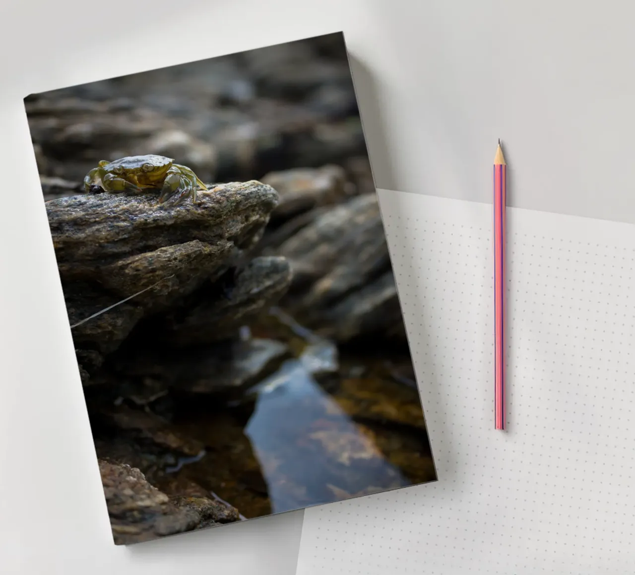 A crab on the foreshore! notebook by MiniClic