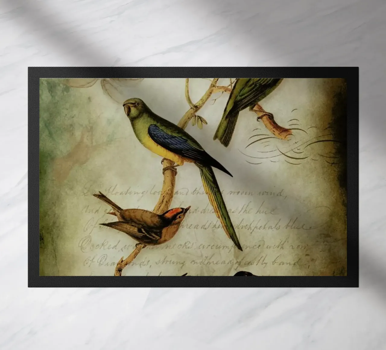 Freiheit zerbino da Design by Soph