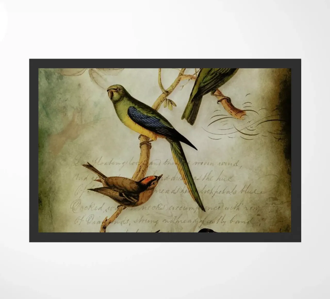 Freiheit zerbino da Design by Soph