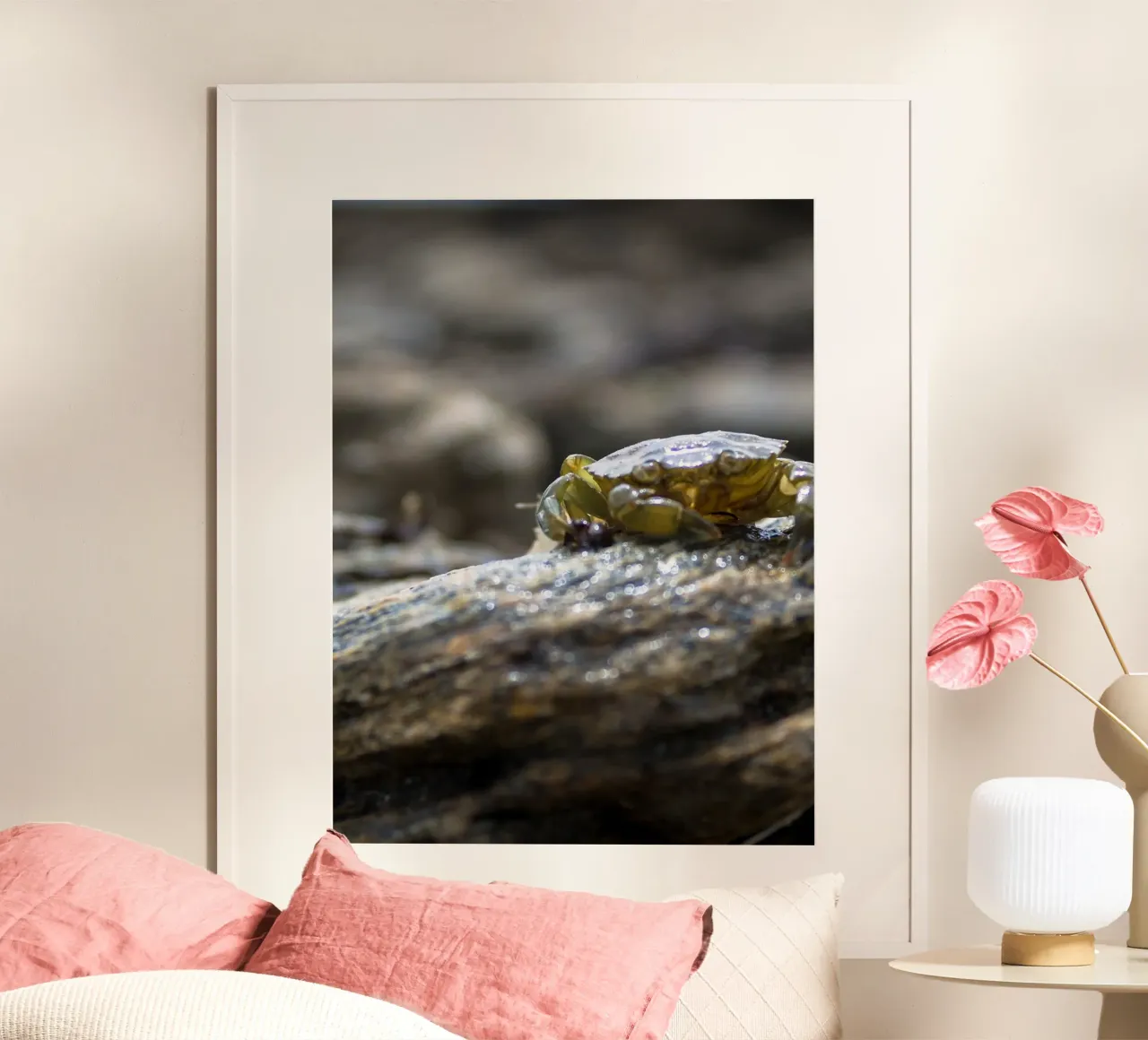 Granchio di roccia poster con telaio in alluminio da MiniClic