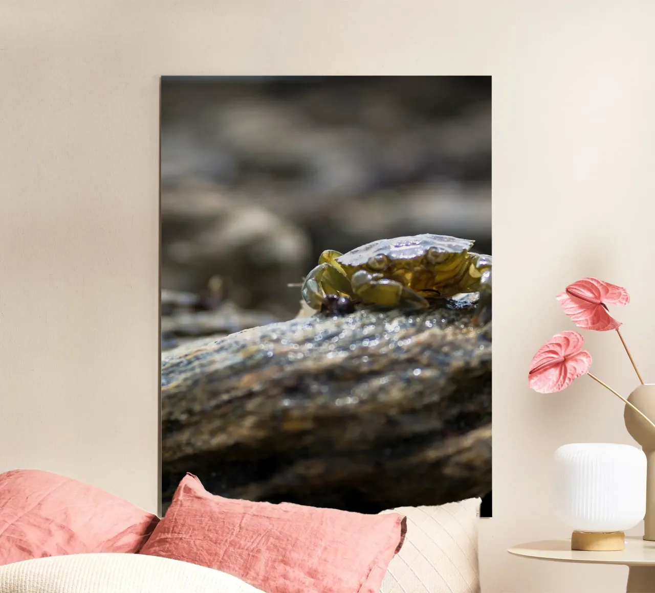 Granchio di roccia poster con telaio in alluminio da MiniClic