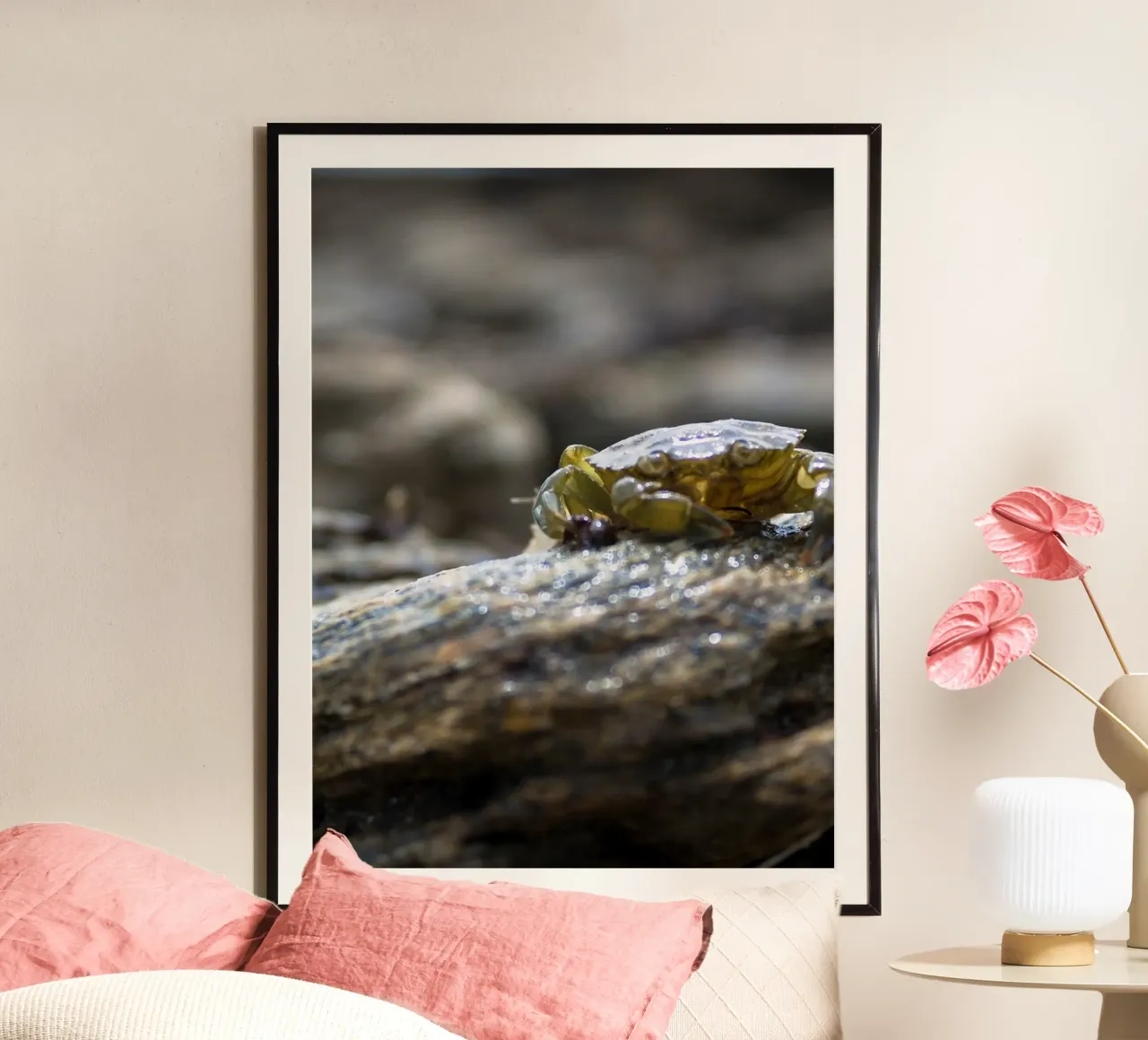 Granchio di roccia poster con telaio in alluminio da MiniClic