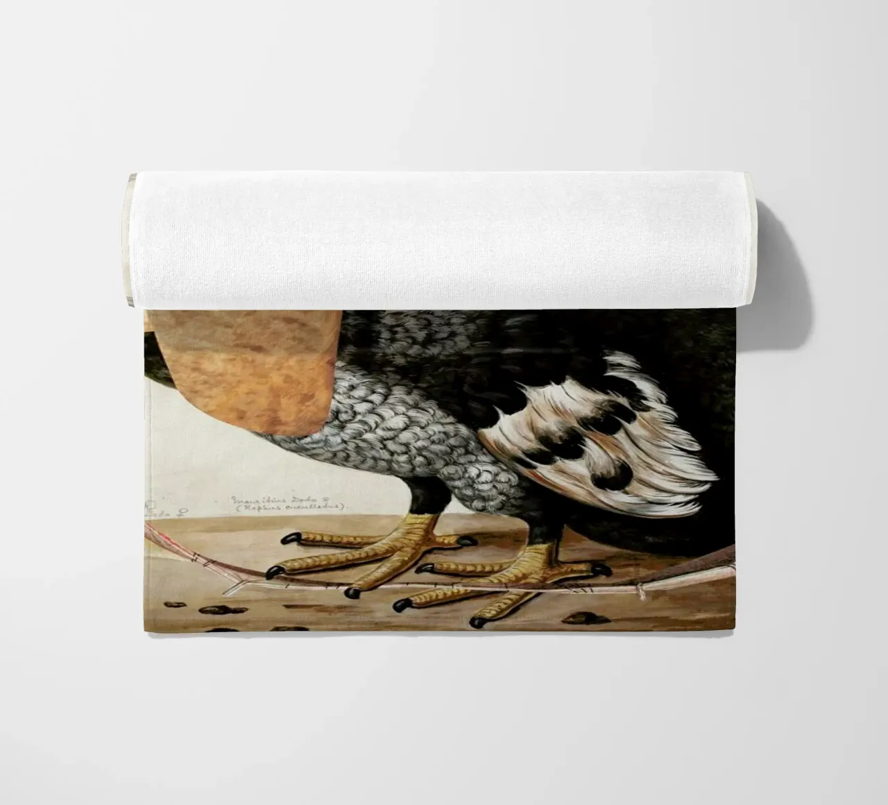 Fab Creature´s Of Mr F · In Mary Shelly's Front Yard telo mare da Marko Köppe