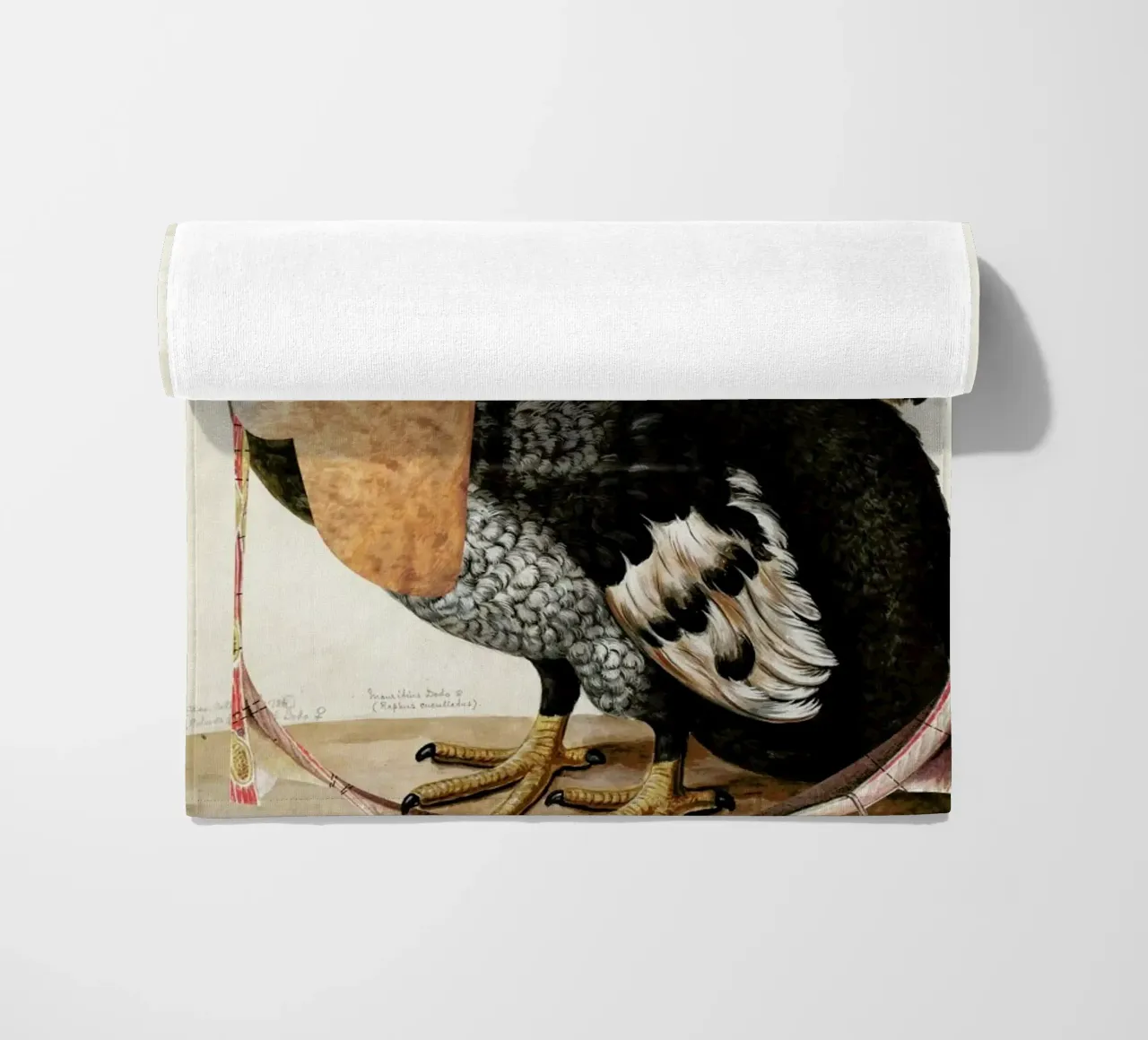 Fab Creature´s Of Mr F · In Mary Shelly's Front Yard telo mare da Marko Köppe