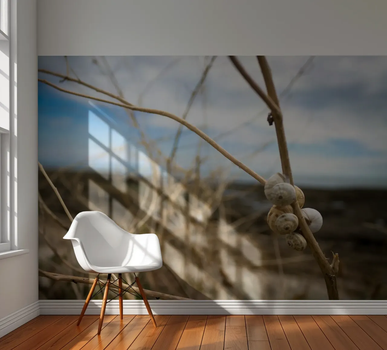 Beach shells fotobehang van MiniClic