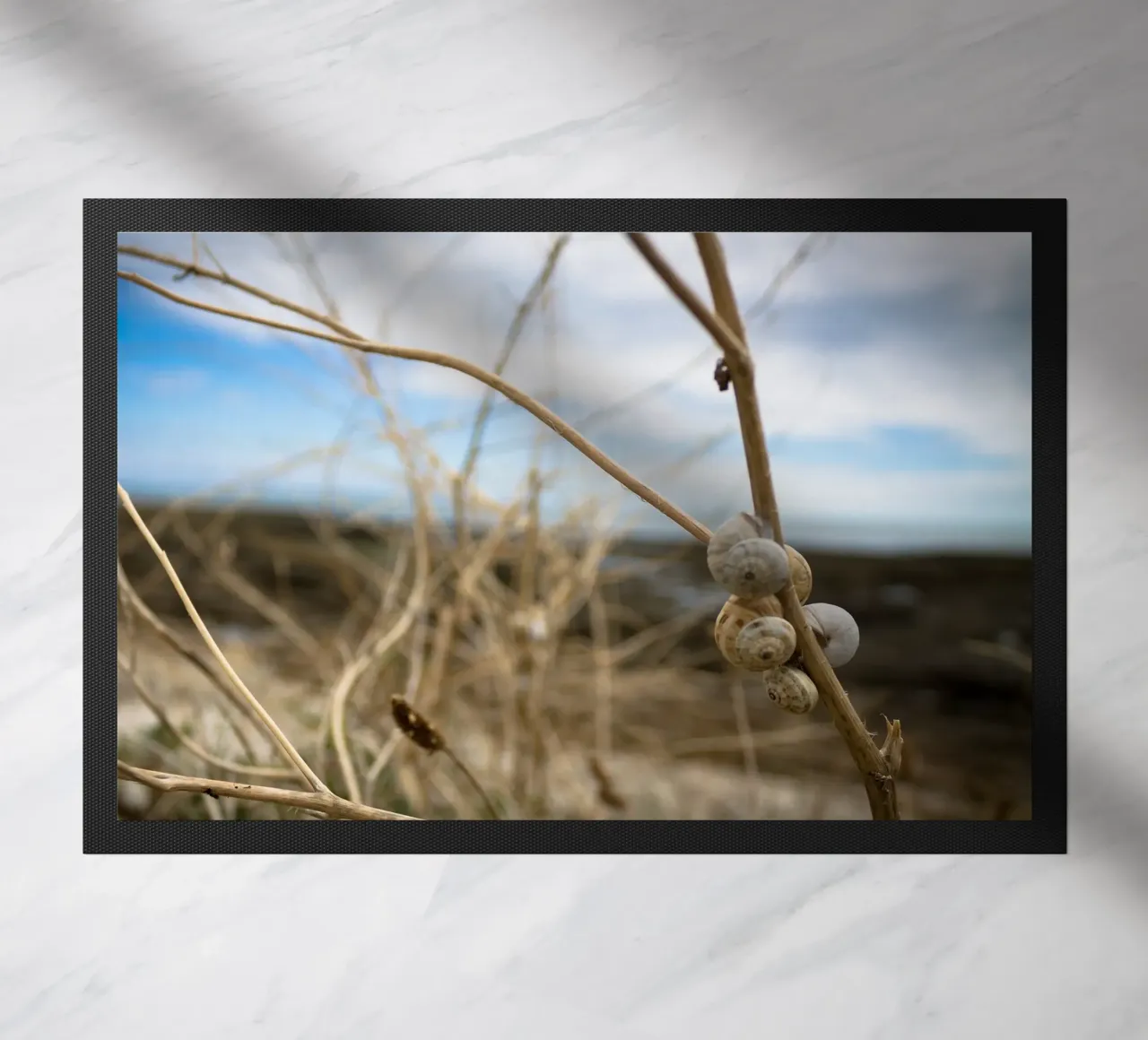 Strandmuschel Fußmatte von MiniClic